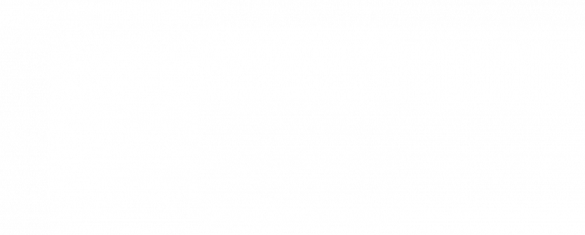 BIO DESSANQUIM BLANCO